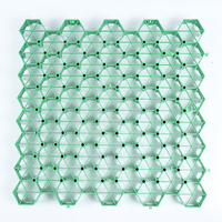 Matériaux de construction polymères, grille de pavage en plastique HDPE robuste pour l'aménagement paysager des parkings, travaux de terrassement en extérieur