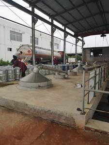 Fabrik-Schwarzkümmelöl Kaltgepresst 1 Gallone Haarpflege Ätherisches Öl 100% Natürliches Reines Trägeröl - Product Image 6