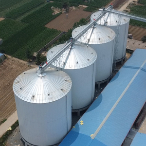 Силосы для соевого шрота с плоским дном по индивидуальному заказу 2000T-15000T емкостью для хранения кукурузы - Product Image 4