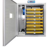 Incubateur d'œufs à double puissance AC/DC, 300 œufs avec plateau à œufs roulants, de Type 180 à 500, approuvé de la CE