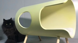 Cama <span class=keywords><strong>de</strong></span> túnel <span class=keywords><strong>de</strong></span> madera moderna personalizada para gatos, <span class=keywords><strong>cueva</strong></span> para gatos <span class=keywords><strong>de</strong></span> interior, muebles para gatos en embalaje <span class=keywords><strong>de</strong></span> cartón - Product Image 5