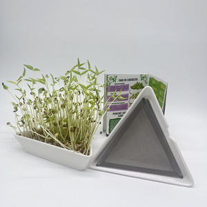 Venta al por mayor Bandejas de germinación de semillas Cuencos de cerámica triangulares con malla de acero Mung Bean Alfalfa Wheatgrass Germinación - Product Image 3