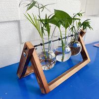 Vase en verre hydroponique rustique avec cadre en bois, personnalisable