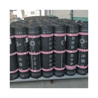 China Supply Industrial Design Style 3mm 4mm 5mm Abgebranntes Modifikation sdach Wasserdichte Bitumen rolle