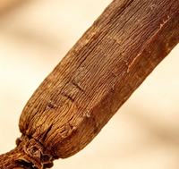 Extrait de racine de ginseng rouge de qualité alimentaire en vrac pour distributeurs et importateurs, approvisionnement en herbes en bouteille/fût directement de l'usine