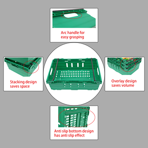JOIN Caisse empilable en plastique ventilée pour fruits et légumes - Product Image 6