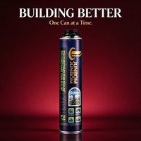 Mastic en mousse PU à faible expansion pour le remplissage des joints de construction, la fixation des portes et des fenêtres et l'isolation thermique