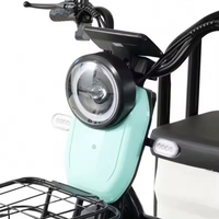 Vélo électrique de haute qualité, scooter électrique à 3 roues, 800W, tricycle électrique de fret populaire à vendre