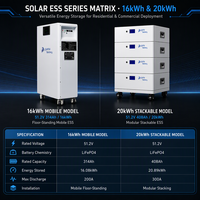 Pack de batteries solaires LiFePO4 51,2 V 314 Ah 16 kWh avec écran tactile intelligent, surveillance à distance via application Bluetooth 4G