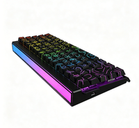 Clavier mécanique filaire USB Type-C rétroéclairé RGB à 68 touches avec interrupteurs magnétiques pour ordinateur de bureau, ordinateur portable, jeux
