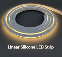 Bande LED néon en silicone 1010, lumière linéaire flexible, tube LED étanche, éclairage décoratif, extérieur, intérieur, longueur personnalisée, OEM