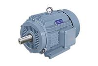 Moteur à courant alternatif triphasé haute efficacité IE4 à cage d'écureuil YE4-315L2-4 200KW 270HP, protection IP55, antidéflagrant, montage sur pied, 50Hz