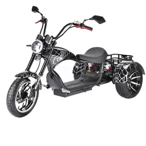 60v 2000w Fat Tire 3 Wheel Electric Scooter Motorcycle 20ah Eu Warehouse Electric City Coco Citycoco Trike For Sale