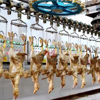 Cadre de traitement portable pour poulets et canards Haoze |   900-15000BPH |   Système d'abattage clé en main |   Roulement de moteur pour l'élimination des plumes