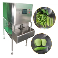 Automatische Fruit Dunschiller Machine Voor Mango 'S Appels Peren Kaki Avocado 'S Sinaasappels Verwerking In Fruit Verwerking Fabriek
