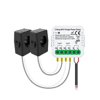 Module de relais intelligent monophasé Larkkey Tuya 1 Gang avec surveillance de la puissance, module Wi-Fi sans fil et 2 pinces OEM