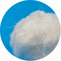 3DX76mm Good Quality Nylon 66 Fiber Price Low
