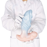 Plug anal perlé, jouets de masturbation originaux |   Mace transparent |   Plug anal unisexe |   Dilatateur anal SM |   Jouets sexuels pour adultes