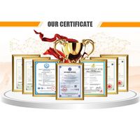 Doritos Tortilla Corn Chips Process Line Puff Snacks Machine Corn Chips Maker Sticks Extrusion Corn Puff Machinery