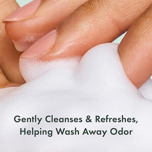 Prodotti per l'Igiene Intima Femminile OEM da Fabbrica GMP, Detergente Schiumogeno Delicato, Ipoallergenico, Equilibrante del PH per Donne e Ragazze - Product Image 4