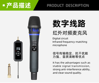 Microphone portable N30+LS07 avec récepteur, appairage infrarouge, charge magnétique, microphone rechargeable 2200mAh pour karaoké