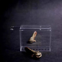 Boîte de mesure de taille de pêche au leurre en plexiglas transparent acrylique personnalisé avec échelle