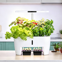 Systèmes de culture hydroponique à faible MOQ pour légumes, fruits, fleurs, mode jardinage, petite machine de plantation hydroponique