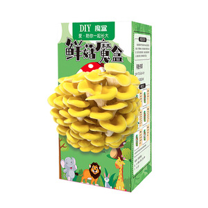 Kit de culture de champignons DIY, boîte de culture de champignons huîtres jaunes de 10 cm, cadeau éducatif pour enfants, activité de plantation - Product Image 1