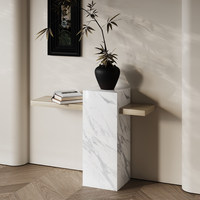 Table console de luxe minimaliste en marbre, plateau en pierre, meuble d'entrée avec compartiment étroit pour salon