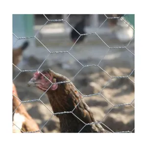 Venda quente de Frango Coop Gaiola Rolos de Malha de Arame Da Cerca de Arame Hexagonal Wire Mesh Compensação