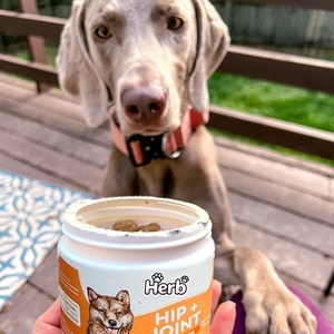Complément Nutritionnel Personnalisé pour Chiens : Soutien Articulaire et Mobilité, Croquettes Tendres pour les Hanches, Marque Privée OEM/ODM - Product Image 3