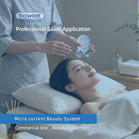 Appareil de massage facial 3D portatif ABS pour usage domestique, avec logo personnalisé, mini-rouleau tenseur de la peau, anti-rides, lifting du visage Bowket