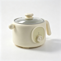 Mini-casserole électrique 2L à chauffage rapide 600W, antiadhésive, avec couvercle en verre, anti-séchage, idéale pour dortoir et appartement