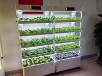 Jardinière intelligente Good-tech avec éclairage LED pour la culture de micro-légumes, équipement hydroponique pour serre, fabriqué en Chine