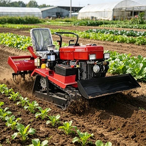 Fresatrice Rotativa Diesel <span class=keywords><strong>per</strong></span> Trattore Agricolo, PTO, <span class=keywords><strong>per</strong></span> Semina Patate, Ricambi <span class=keywords><strong>per</strong></span> Motozappe, Vendita all'Ingrosso - Product Image 1