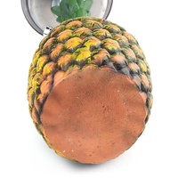 Ensemble de chicha ananas moderne et durable à double tuyau |   Tuyau d'eau avec flexible en acier inoxydable pour chicha narguilé - Accessoires