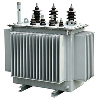 Transformateur de puissance immergé dans l'huile triphasé 160 kVA 11 kV, transformateur abaisseur de tension, fabriqué par Longjian, usine avec 35 ans d'expérience