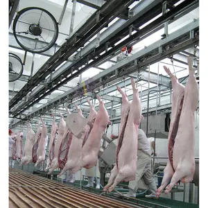 Ticari küçük ölçekli mezbaha günde 50-200 kafa hog abattoir ekipmanları domuz kesim hattı makinesi