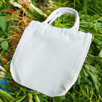 Sac fourre-tout 100% coton écologique, de grande dimension, écologique, réutilisable, avec Logo, vente en gros, offre spéciale