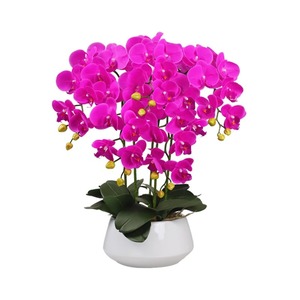 Orchidea artificiale in <span class=keywords><strong>vaso</strong></span> Orchidea finta pianta in <span class=keywords><strong>vaso</strong></span> Orchidea artificiale in <span class=keywords><strong>vaso</strong></span> all'ingrosso EG-X008 <span class=keywords><strong>fiori</strong></span> di orchidea artificiale con <span class=keywords><strong>vaso</strong></span> - Product Image 3
