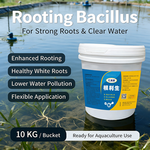 Traitement d'aquaculture pour une forte enracinement : Bacillus Subtilis favorise le développement du système racinaire, améliore la clarté de l'eau, soutient la gestion des étangs, 10 kg - Product Image 1