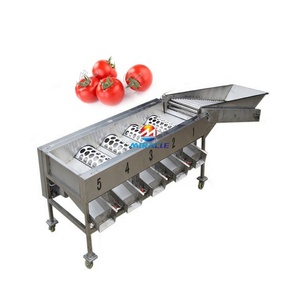 Máquina Clasificadora Comercial de Cítricos, Máquina Clasificadora de Tomates por Tamaño - Product Image 4