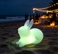 CAIQI Lampe LED Lumineuse Lapin Étanche Rechargeable Multicolore Décoration Extérieure Halloween Noël Paysage