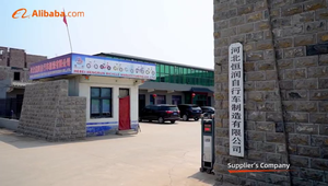 Bicicletas de equilibrio con horquilla de acero para niños <span class=keywords><strong>2023</strong></span>, fábrica de China, venta al por mayor, bicicleta sin pedales para bebés, bicicleta de equilibrio - Product Image 6