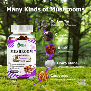 Gomitas de Hongos en Oferta, Gomitas de Melena de León, Reishi, Cordyceps, Chaga y Otros Hongos, Suplemento para la Salud, Aumenta la Inmunidad - Product Image 6
