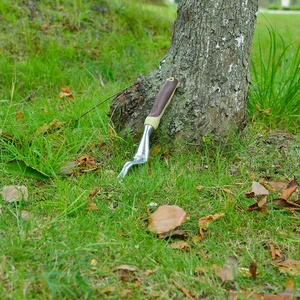 Winslow & Ross nhôm grubbing Hướng dẫn sử dụng tay weeder công cụ PP + TPR xử lý cỏ weeder - Product Image 5