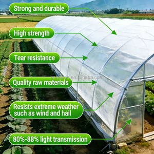 Film in HDPE anti-UV <span class=keywords><strong>per</strong></span> <span class=keywords><strong>serre</strong></span> |   Telo in Polietilene Resistente <span class=keywords><strong>per</strong></span> <span class=keywords><strong>Serre</strong></span>, Frutteti e Coltivazioni Agricole - Product Image 2