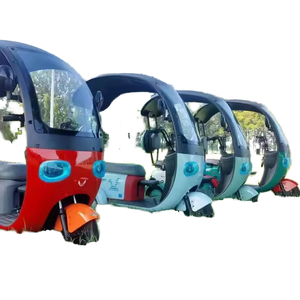 2025 nouveau vélo électrique adulte Pedicab 800W usage familial vélo électrique à 3 roues avec toit ouvert corps 48V tension - Product Image 6