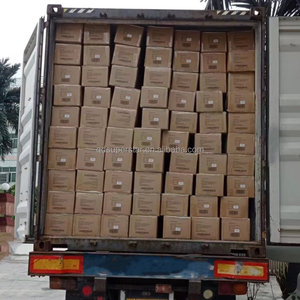 Venta al por mayor de plástico para interiores y exteriores, fábrica de plantas decoradas, <span class=keywords><strong>pequeña</strong></span> <span class=keywords><strong>palmera</strong></span> artificial de cicas de sagú, venta al por mayor de 2017 - Product Image 6