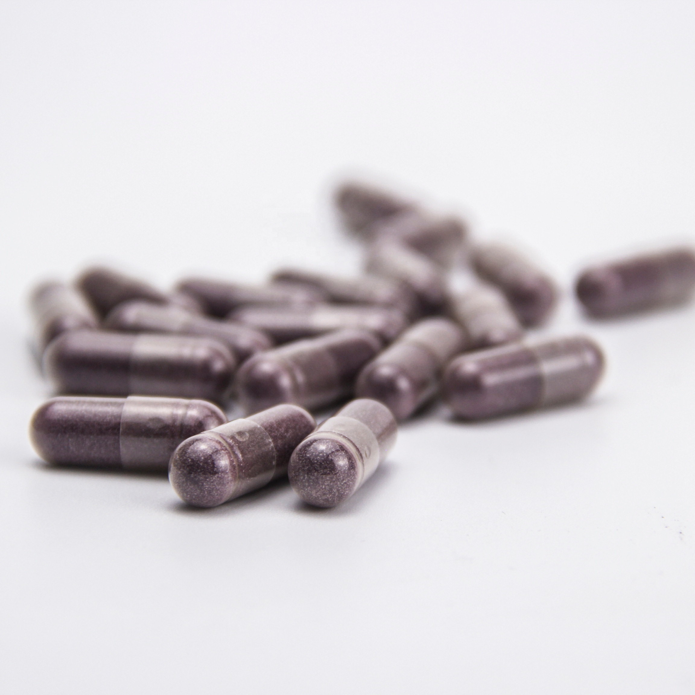 GMP certified wholesale l-carnitine capsule